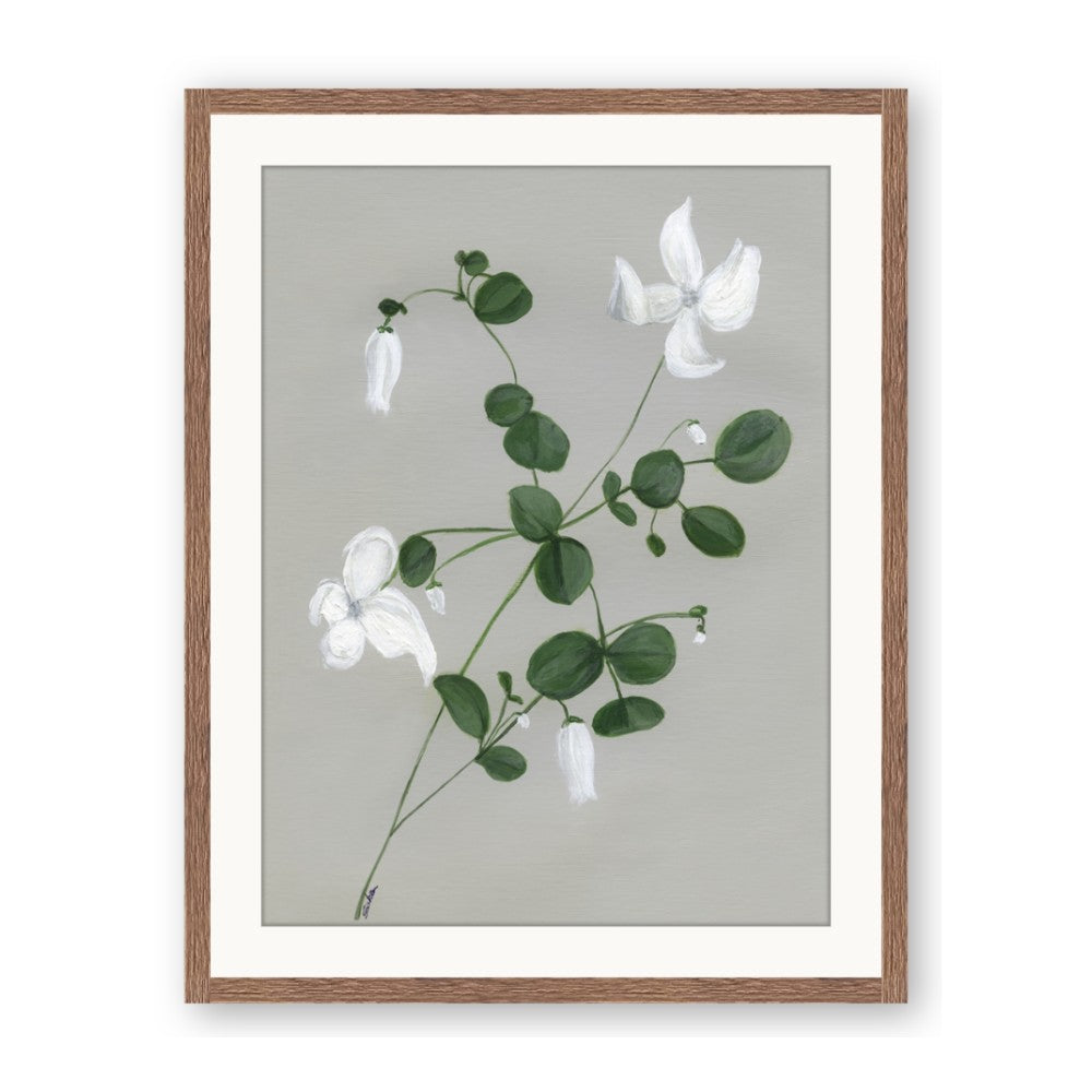 White flower IV