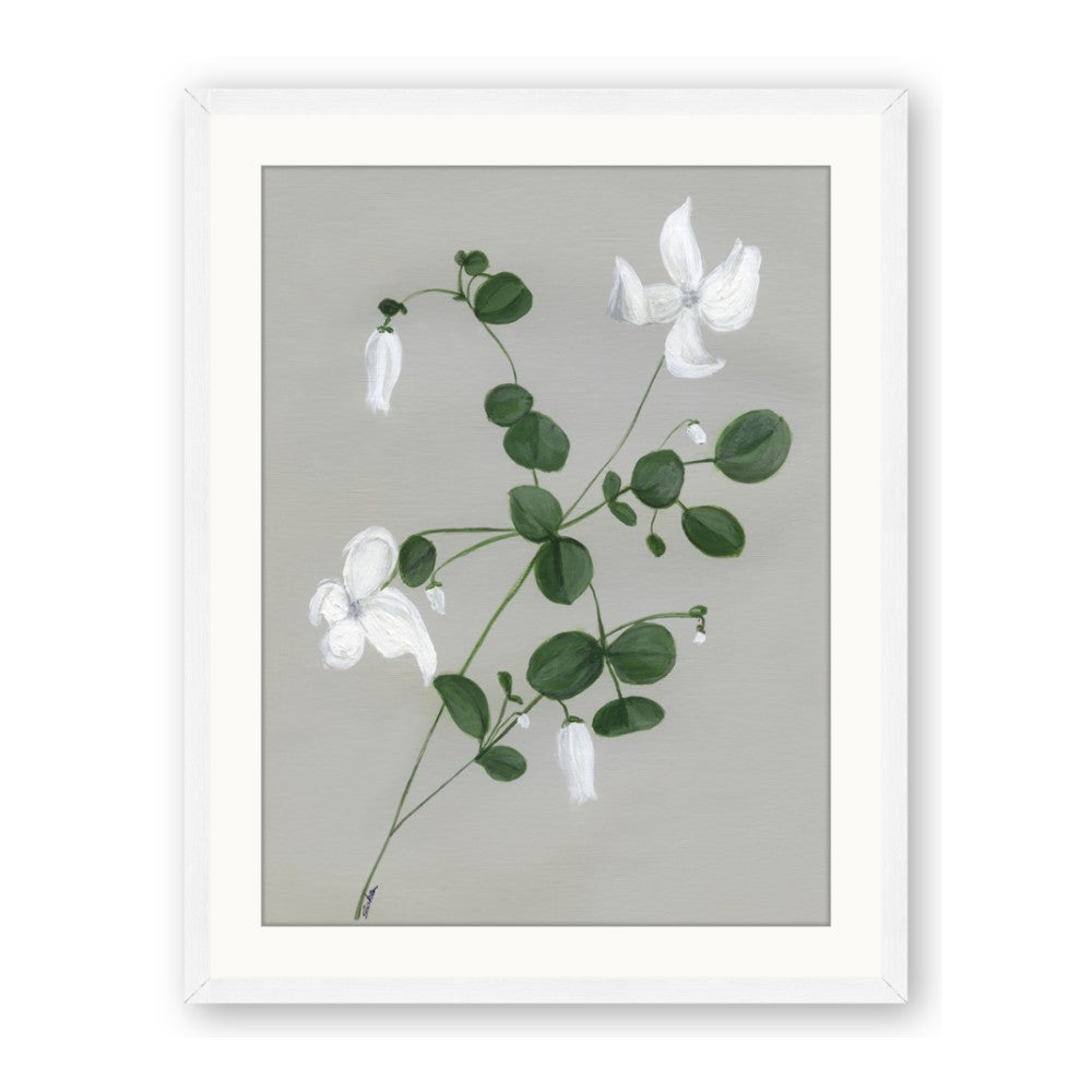 White flower IV