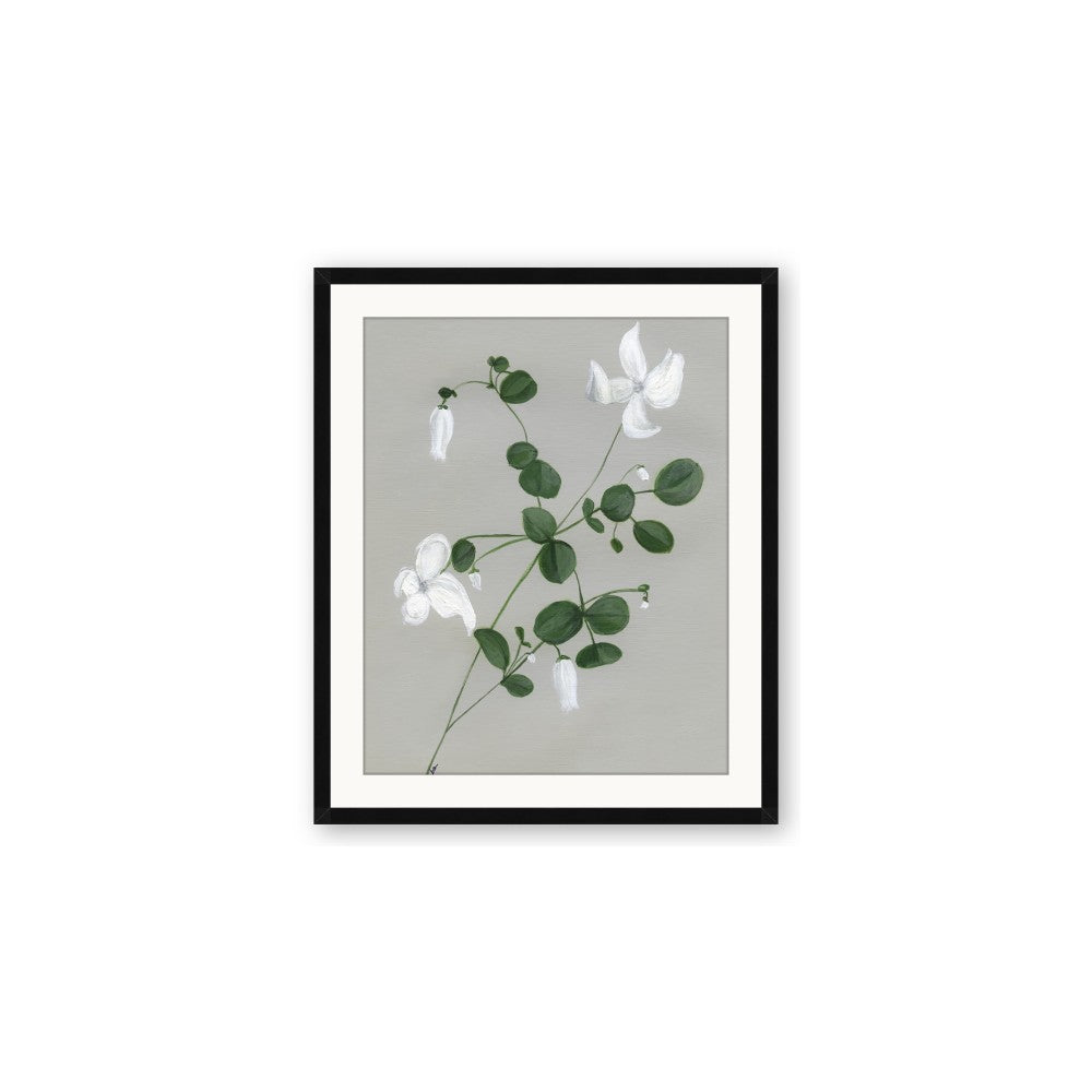 White flower IV