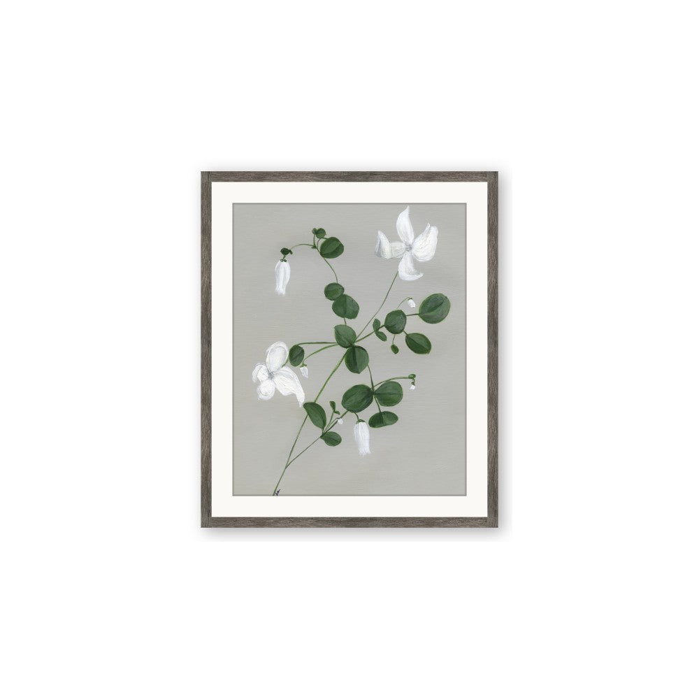 White flower IV