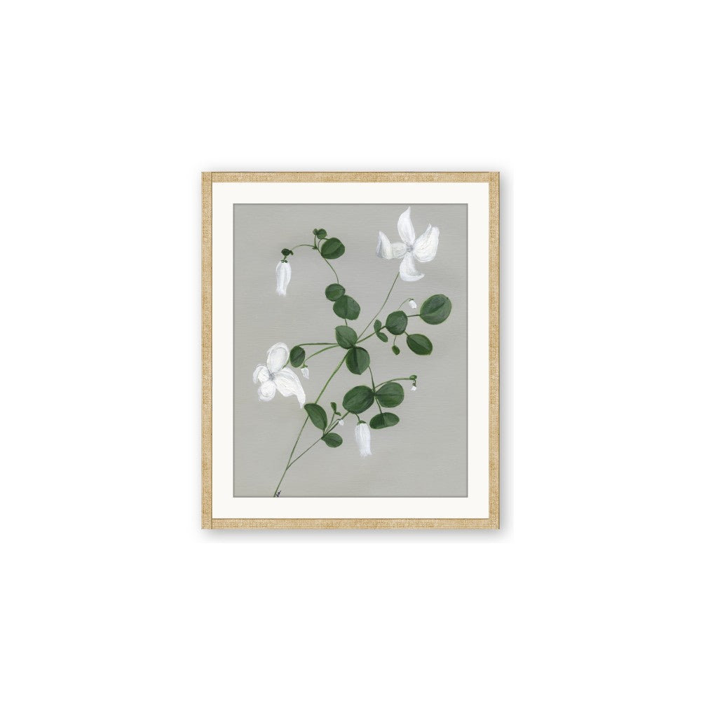 White flower IV
