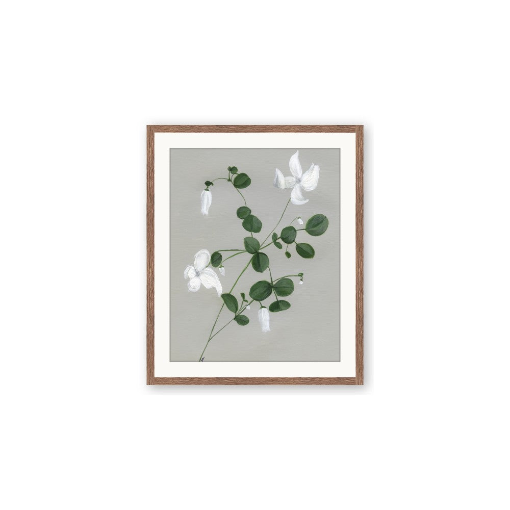 White flower IV