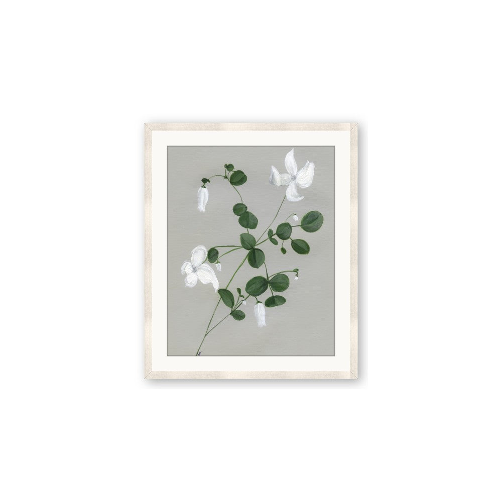White flower IV