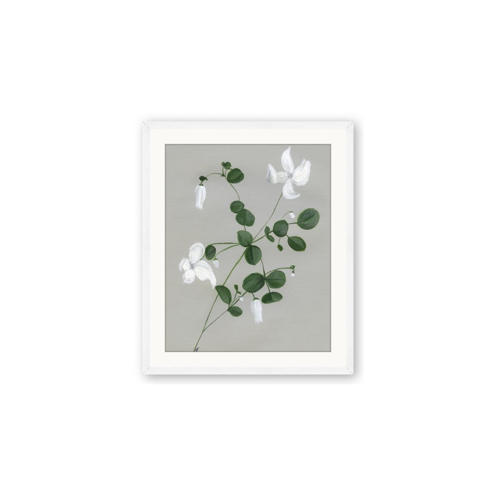 White flower IV