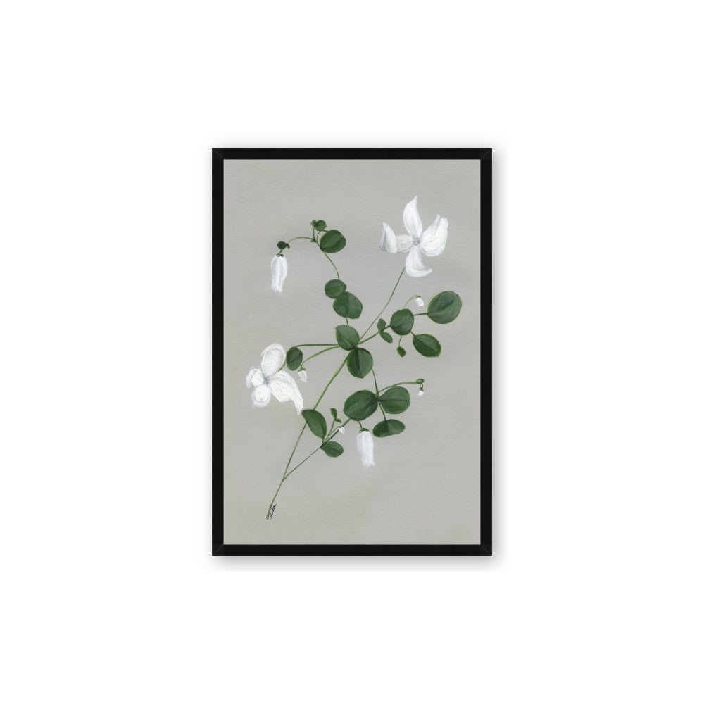 White flower IV