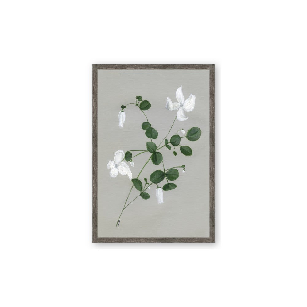 White flower IV