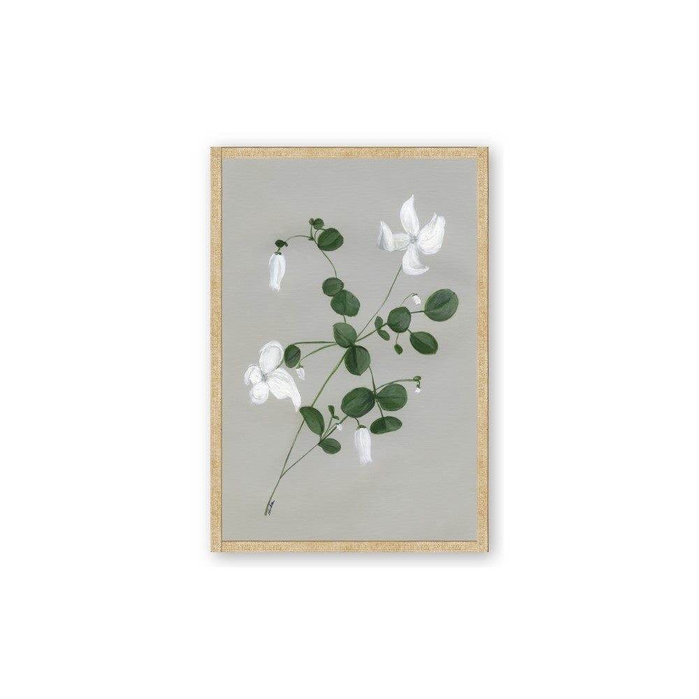 White flower IV