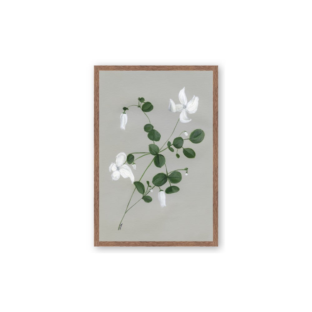 White flower IV