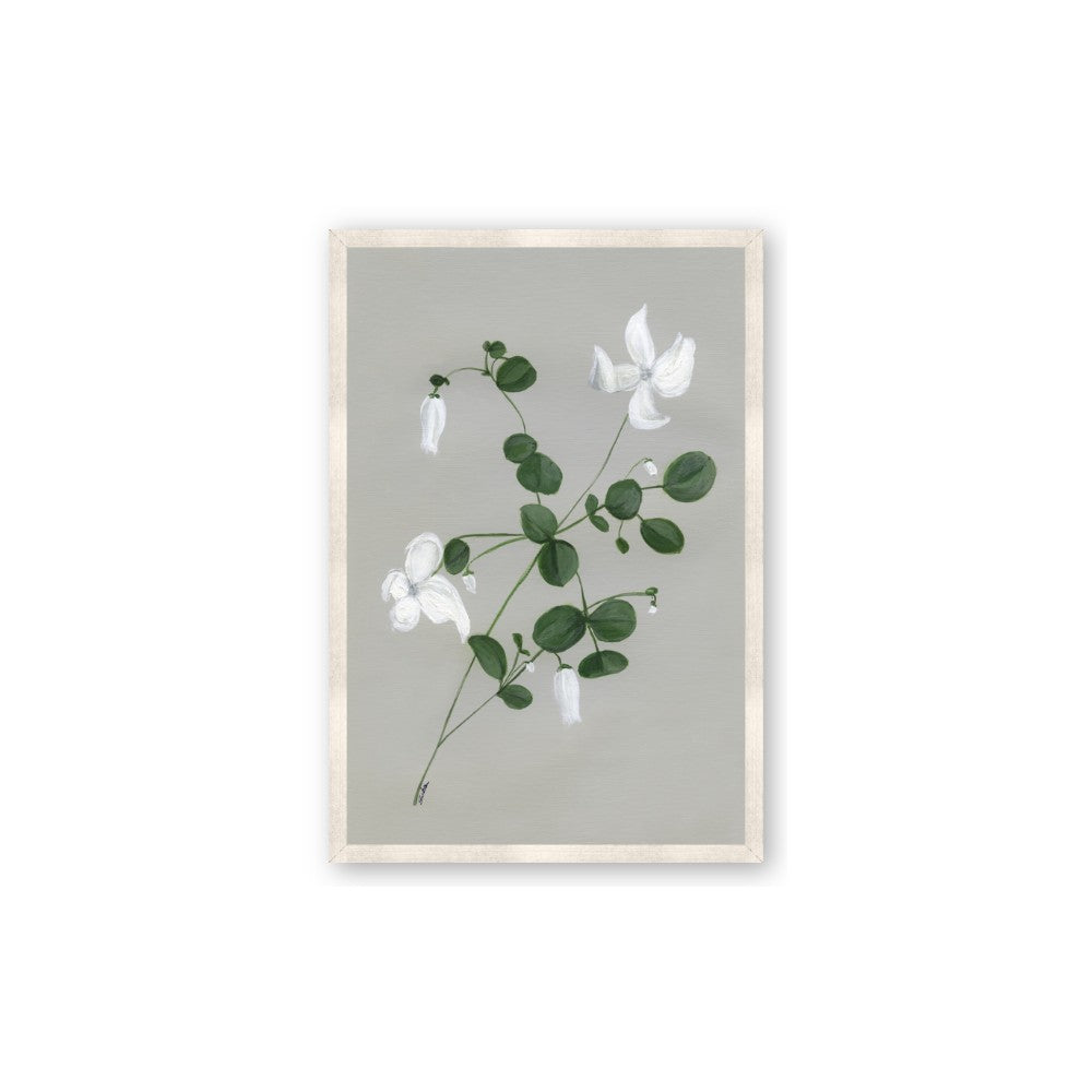 White flower IV