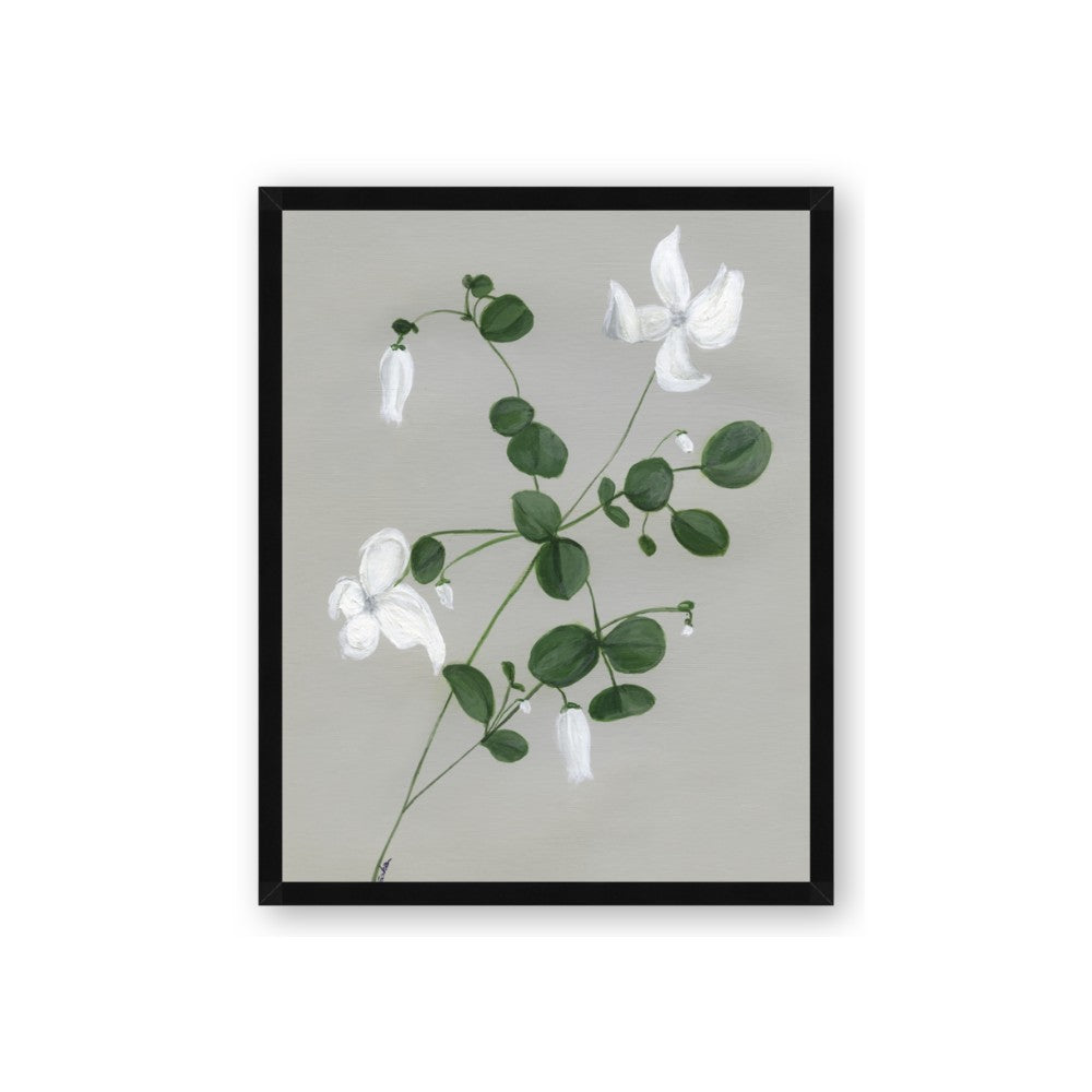 White flower IV