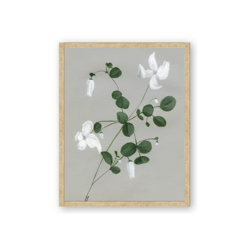 White flower IV