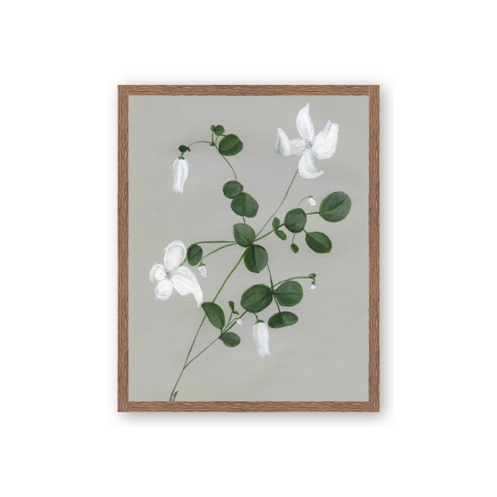 White flower IV