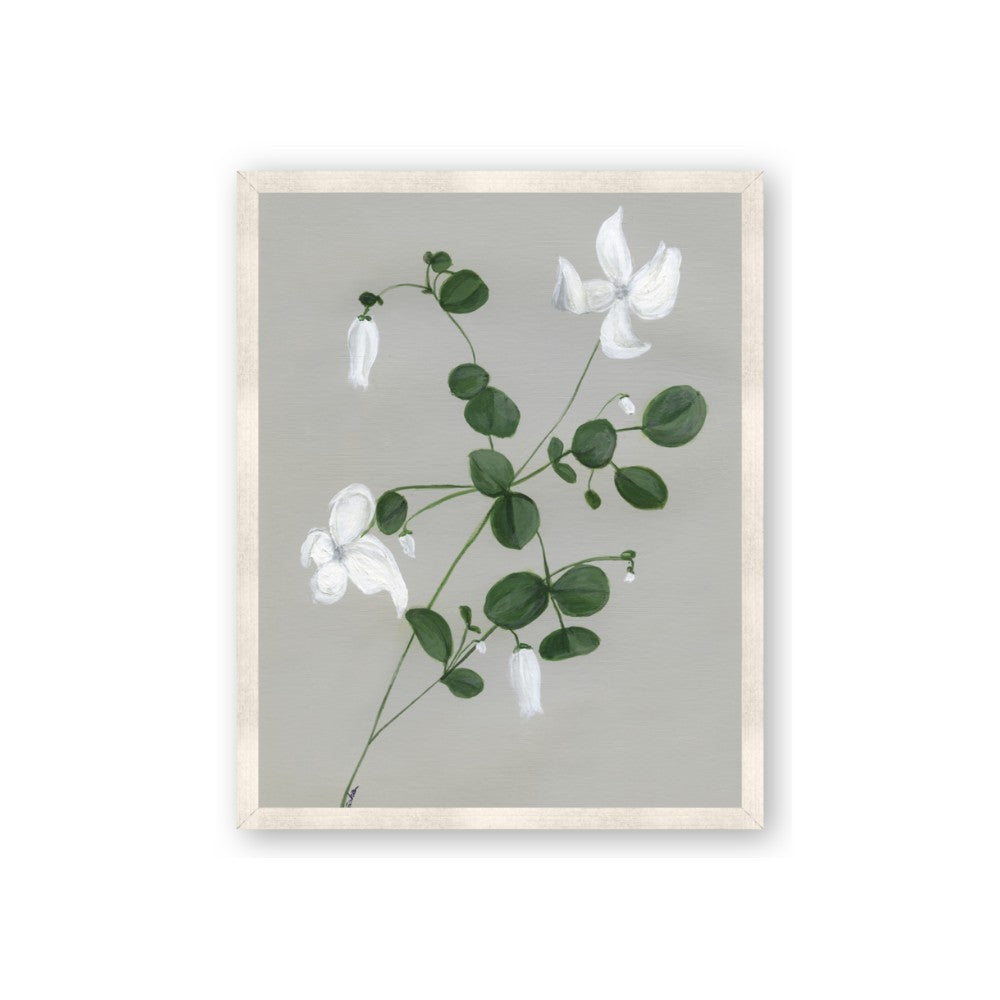 White flower IV