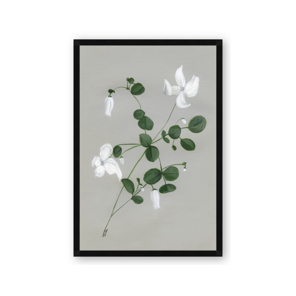White flower IV