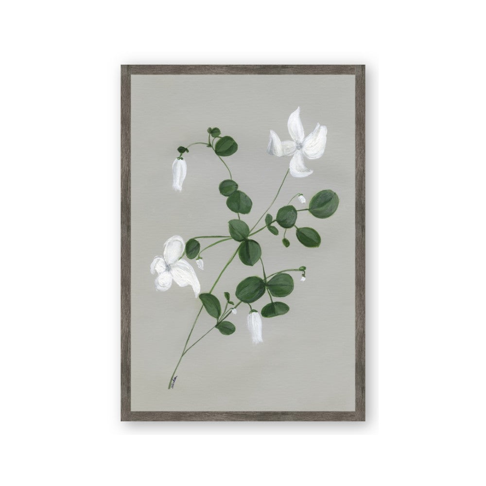 White flower IV