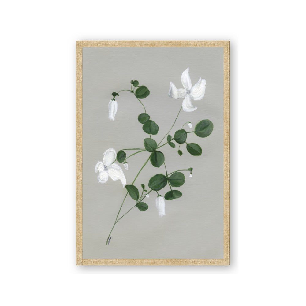 White flower IV