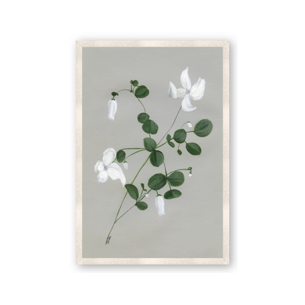 White flower IV