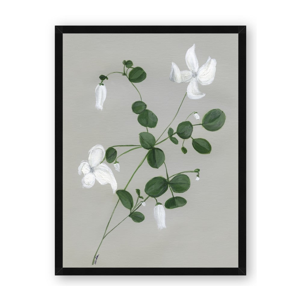 White flower IV