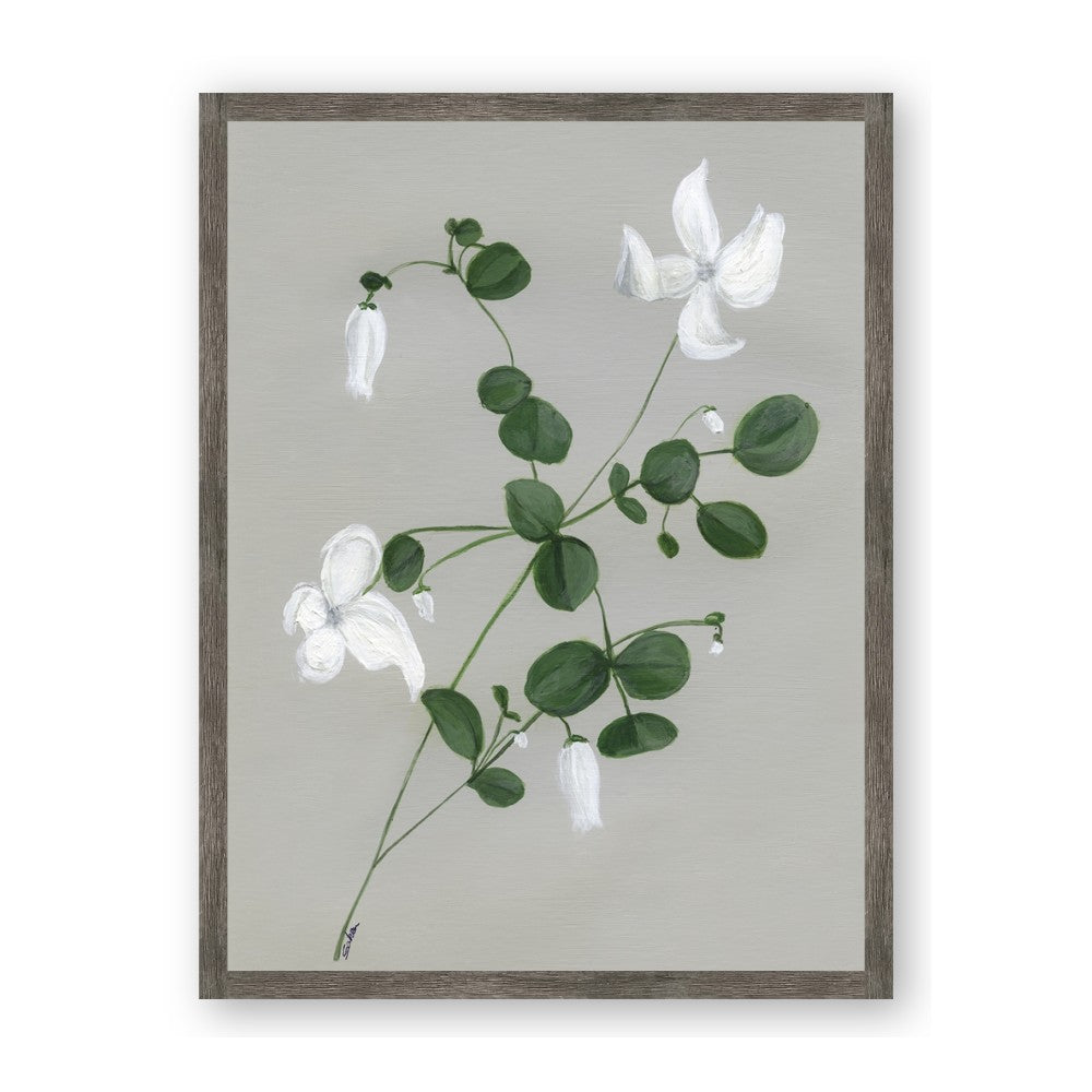 White flower IV