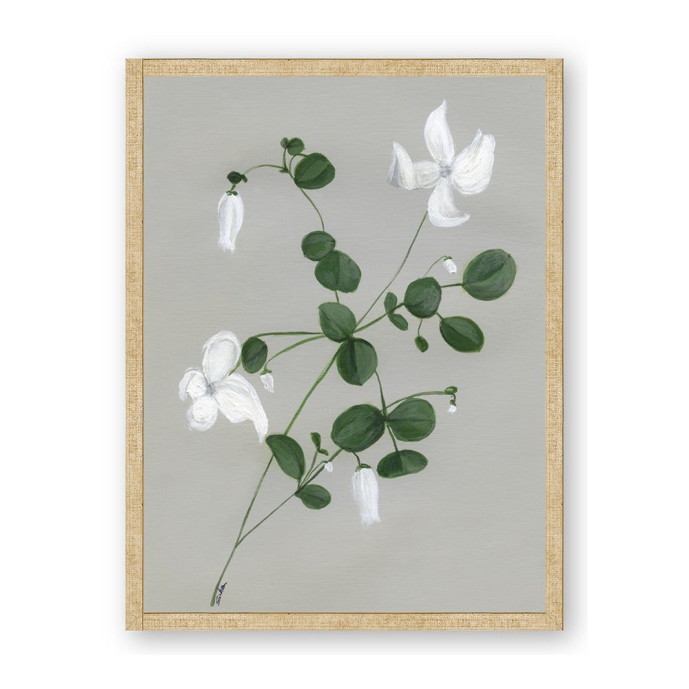 White flower IV