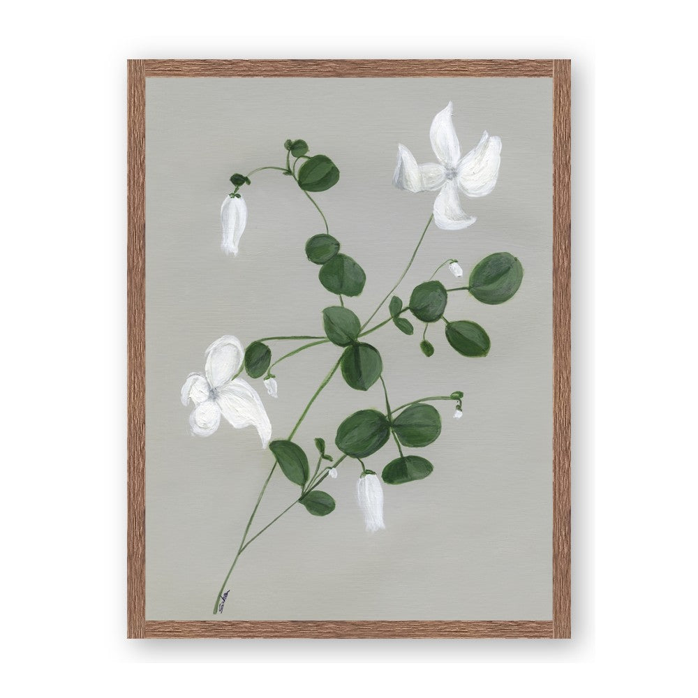 White flower IV