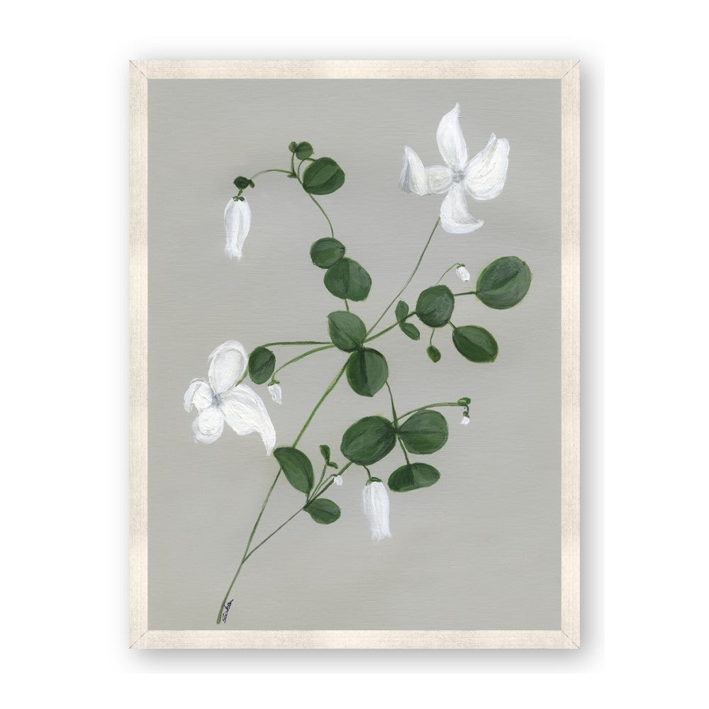 White flower IV