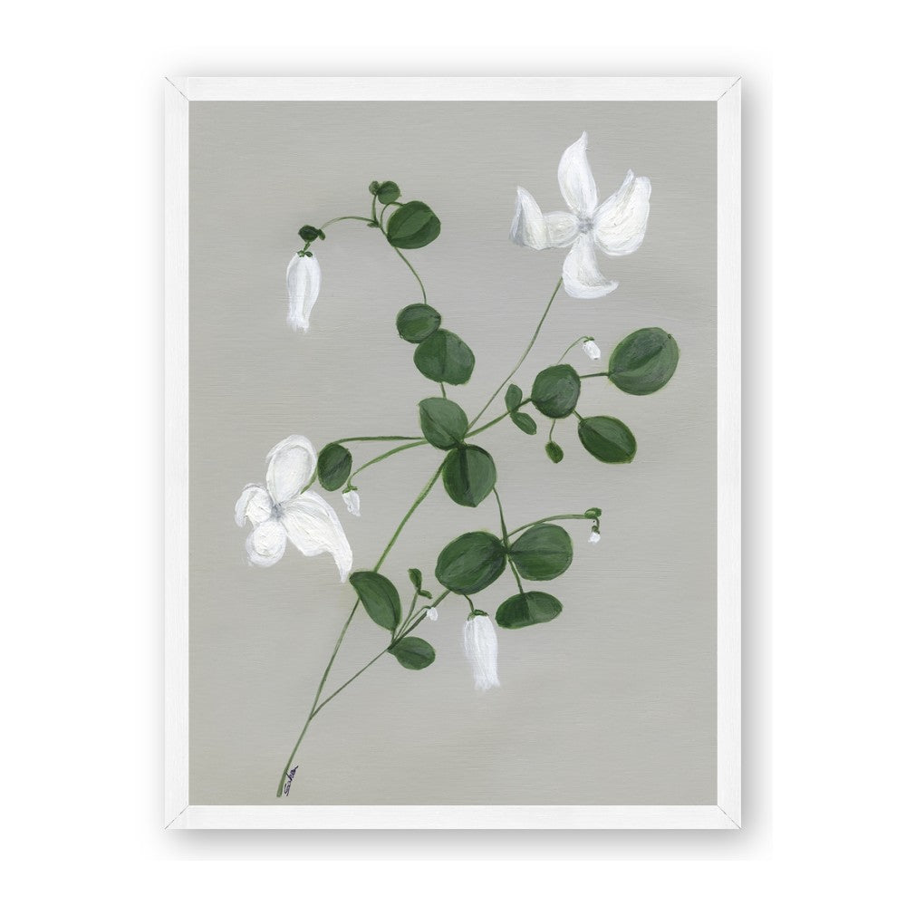 White flower IV