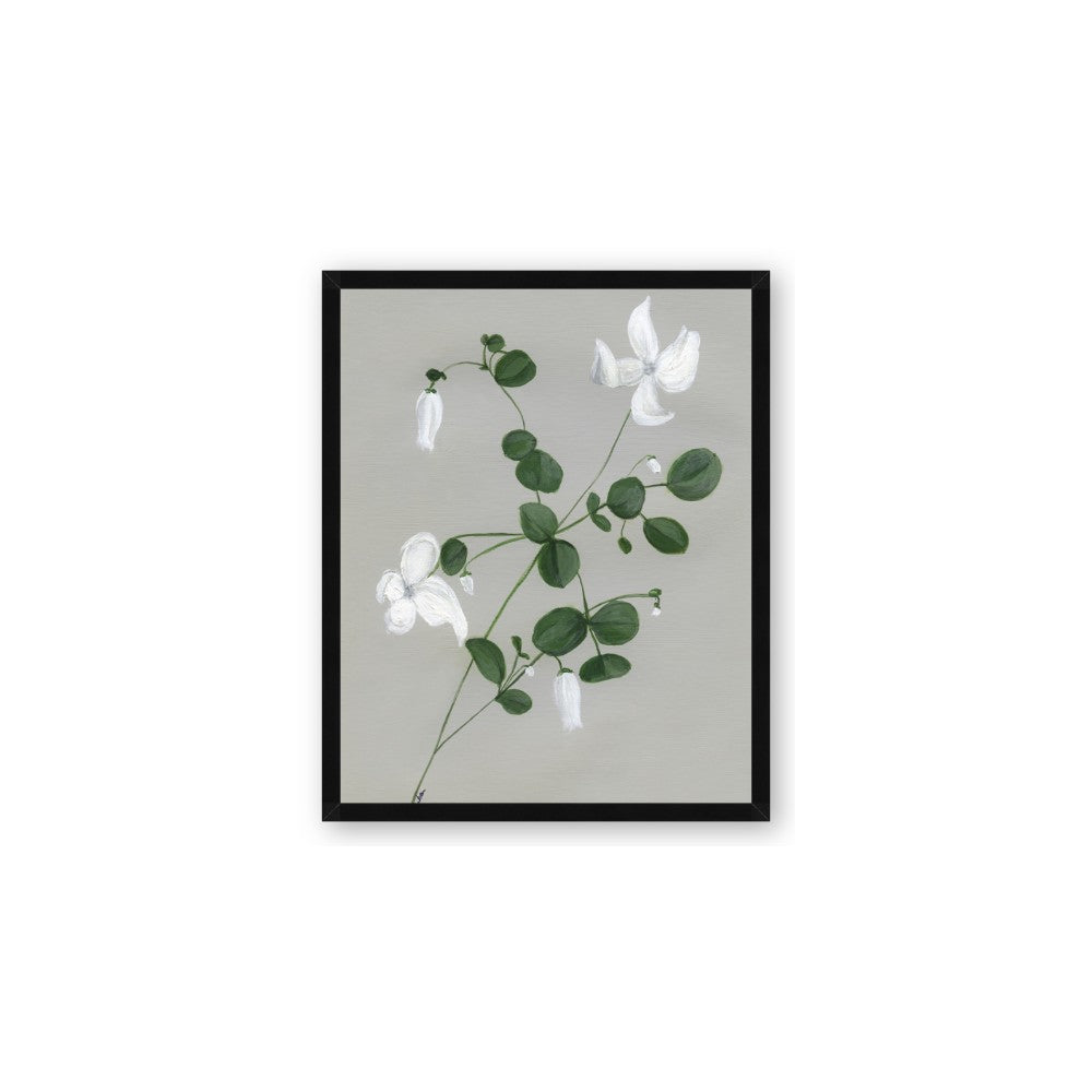 White flower IV