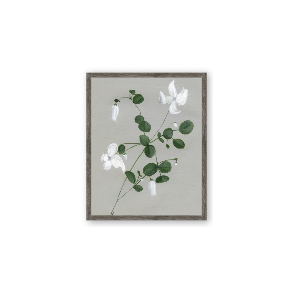 White flower IV