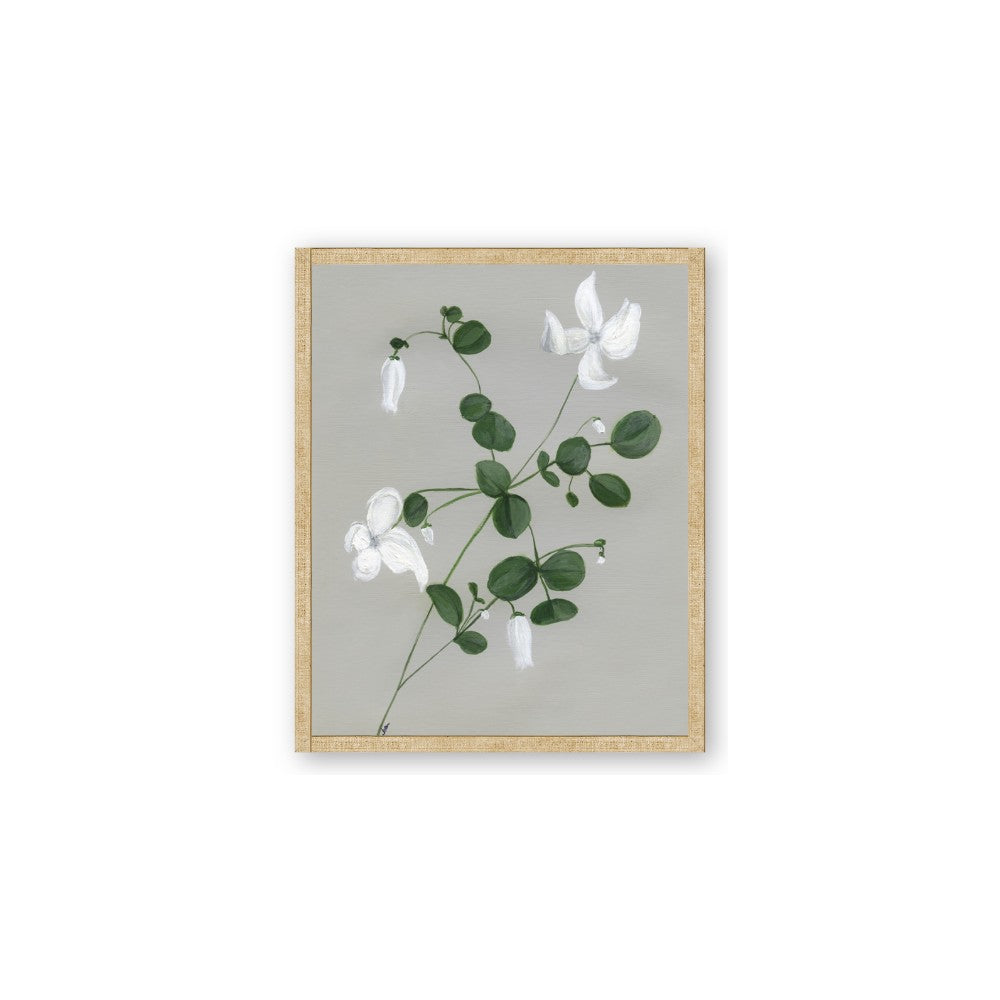 White flower IV