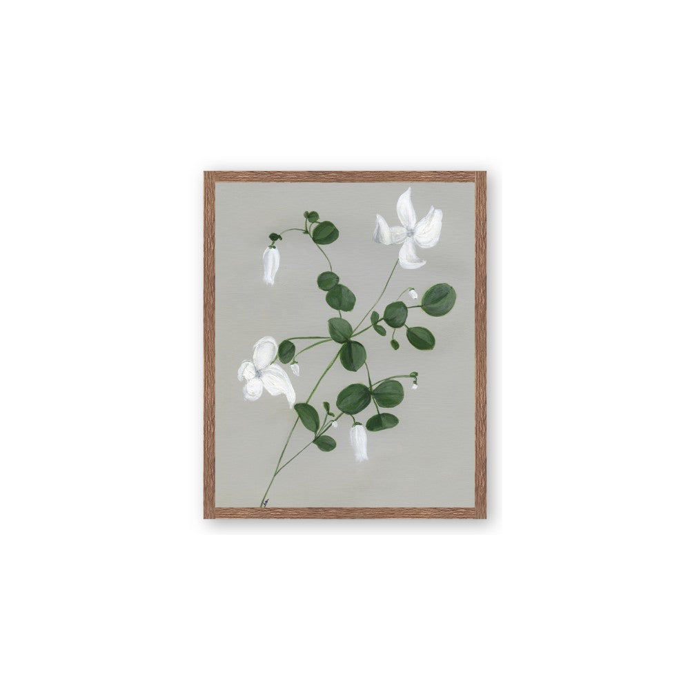 White flower IV