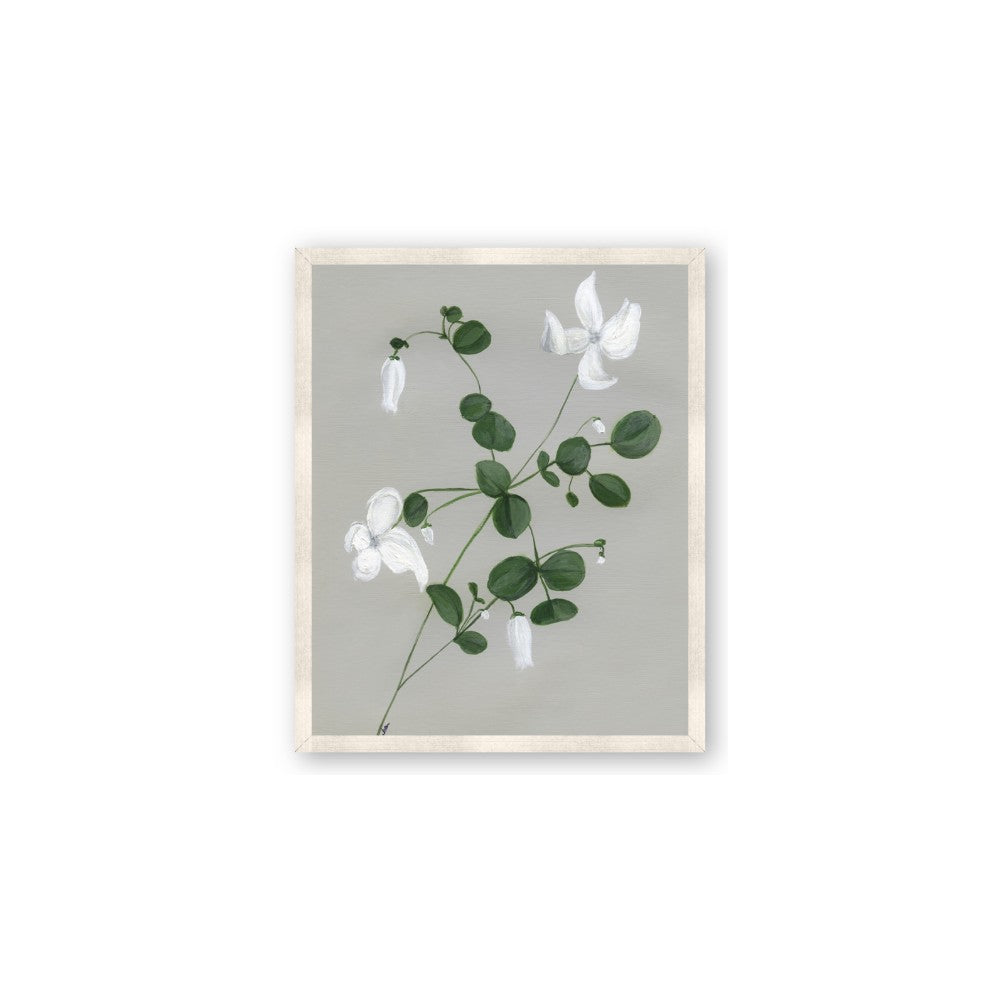 White flower IV