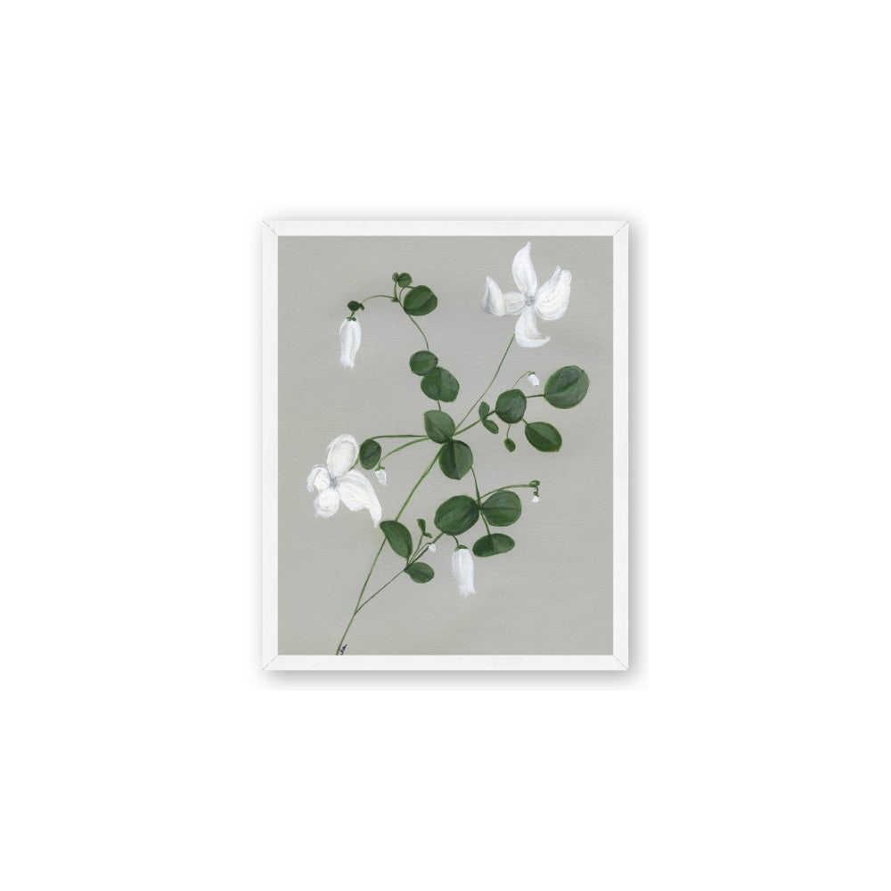 White flower IV