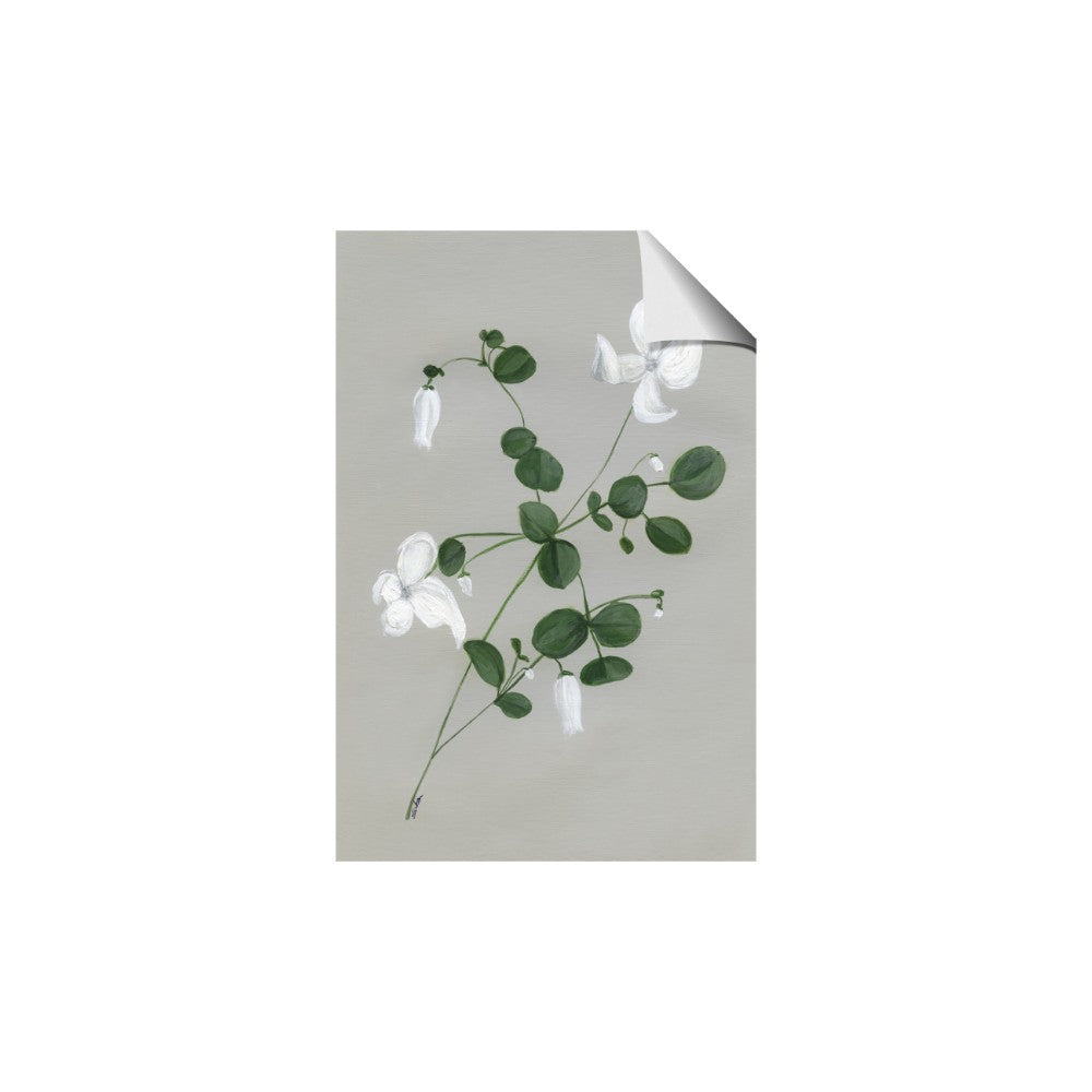 White flower IV