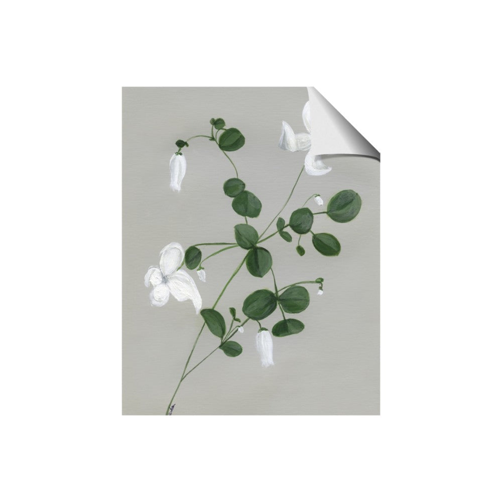 White flower IV