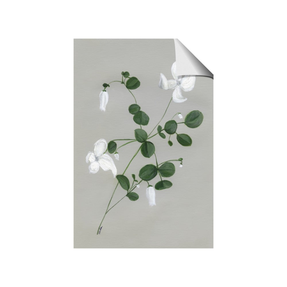 White flower IV