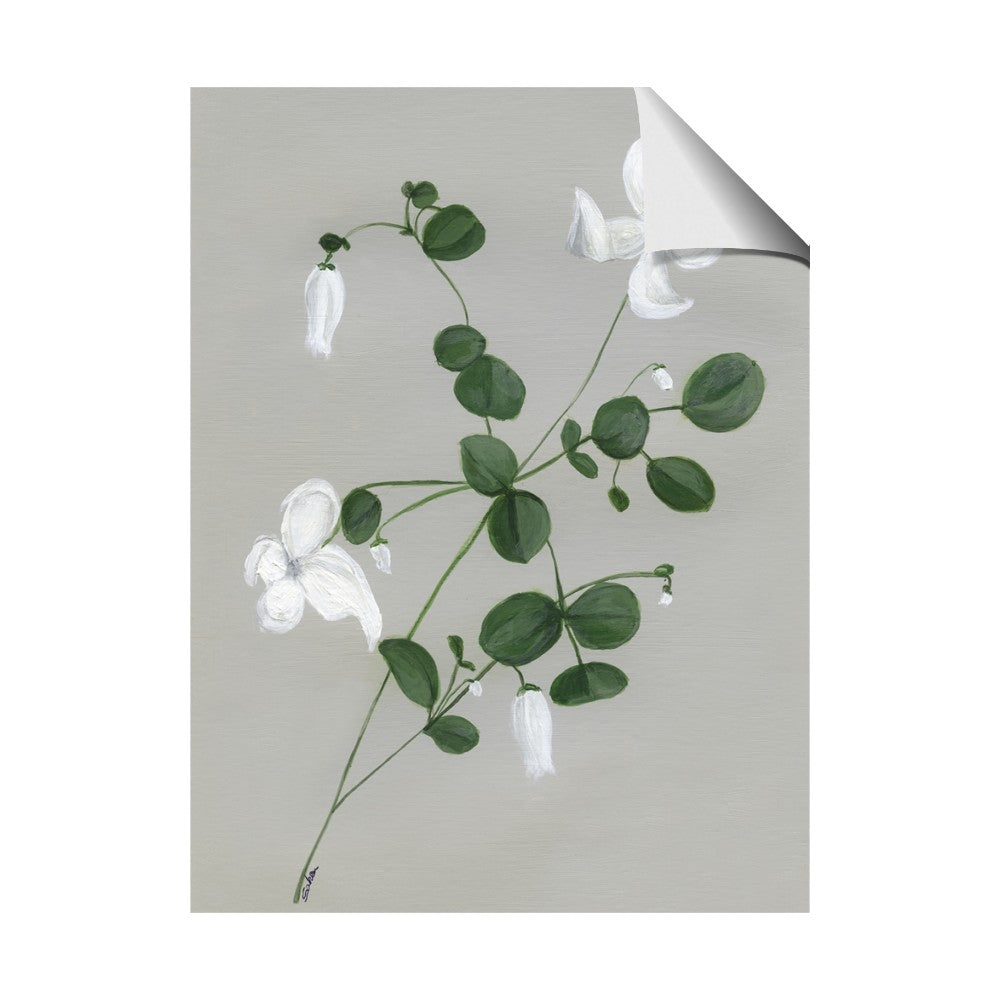 White flower IV