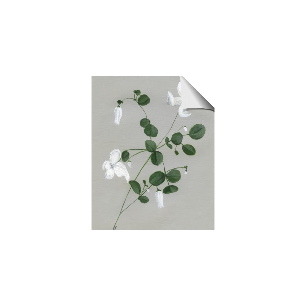 White flower IV