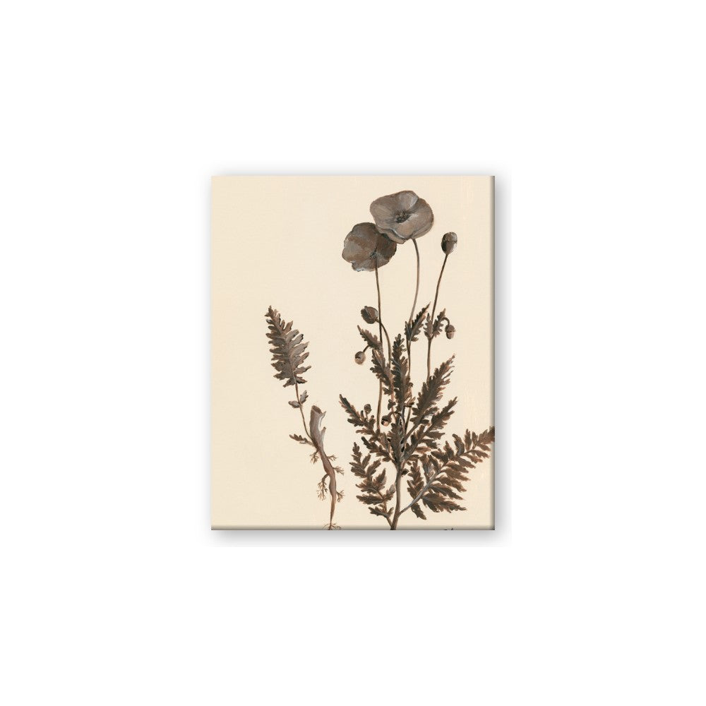 Vintage Botanical I