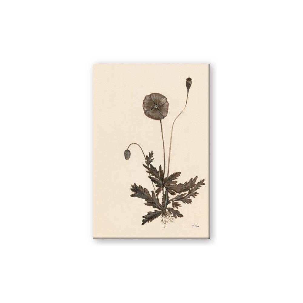 Vintage Botanical II