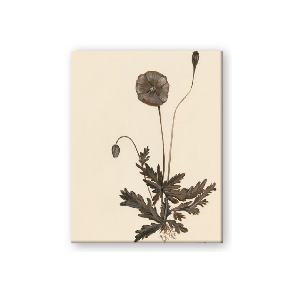 Vintage Botanical II