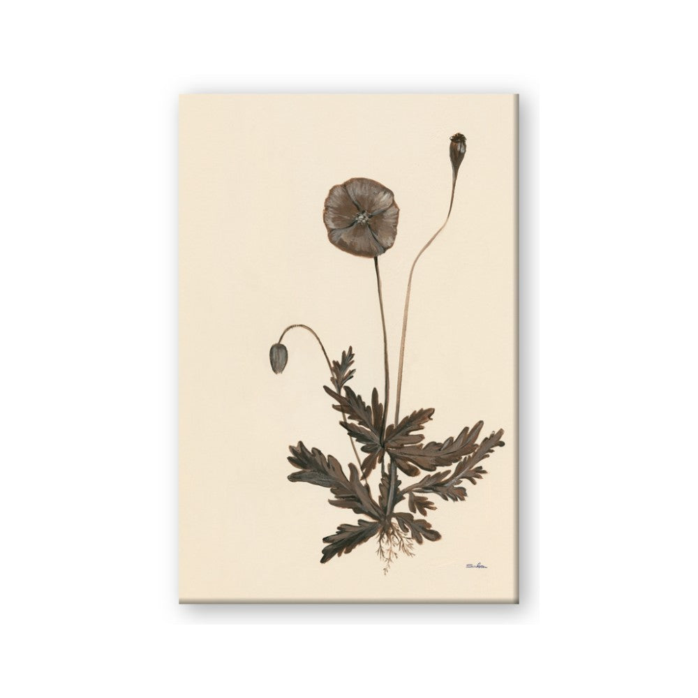 Vintage Botanical II