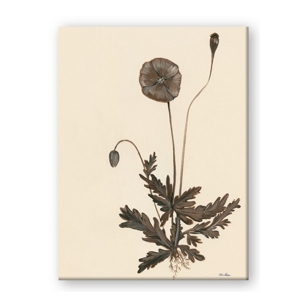 Vintage Botanical II