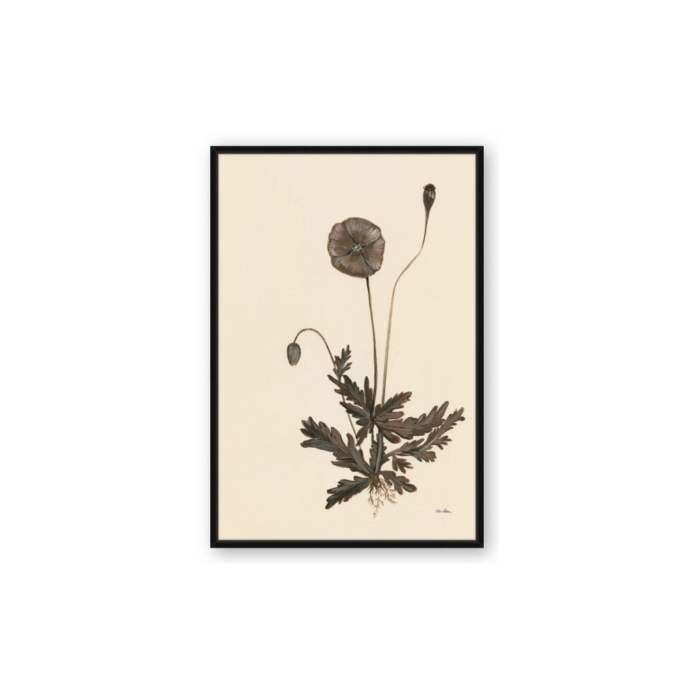 Vintage Botanical II