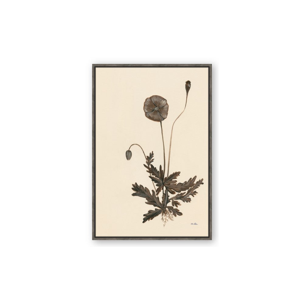 Vintage Botanical II