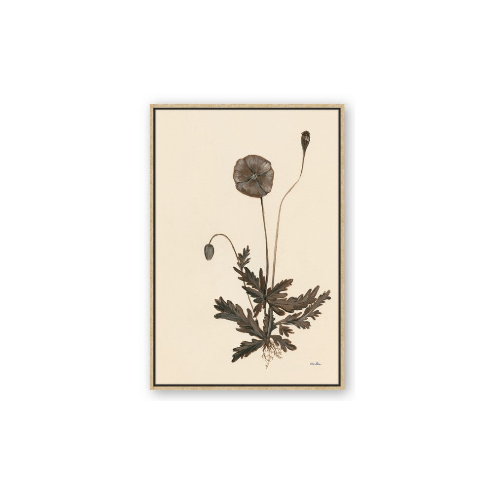 Vintage Botanical II