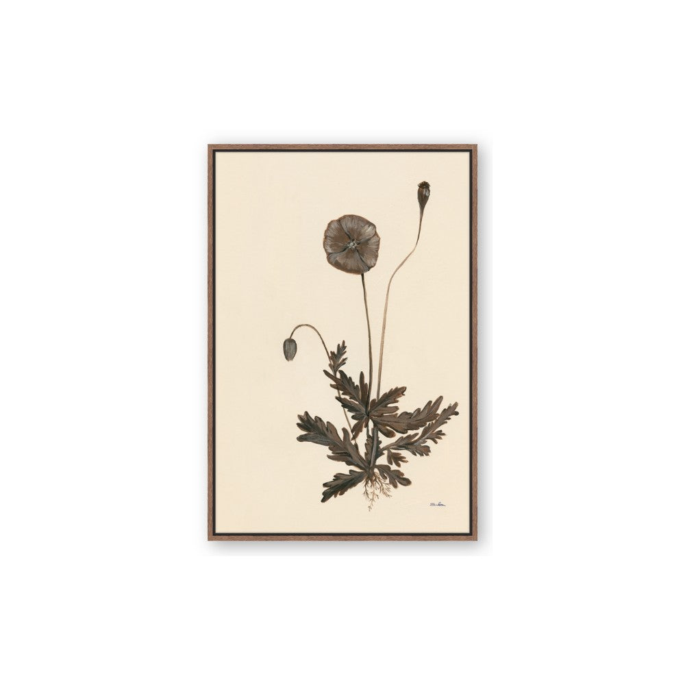 Vintage Botanical II
