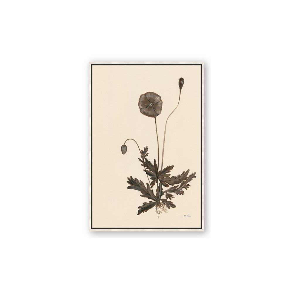Vintage Botanical II