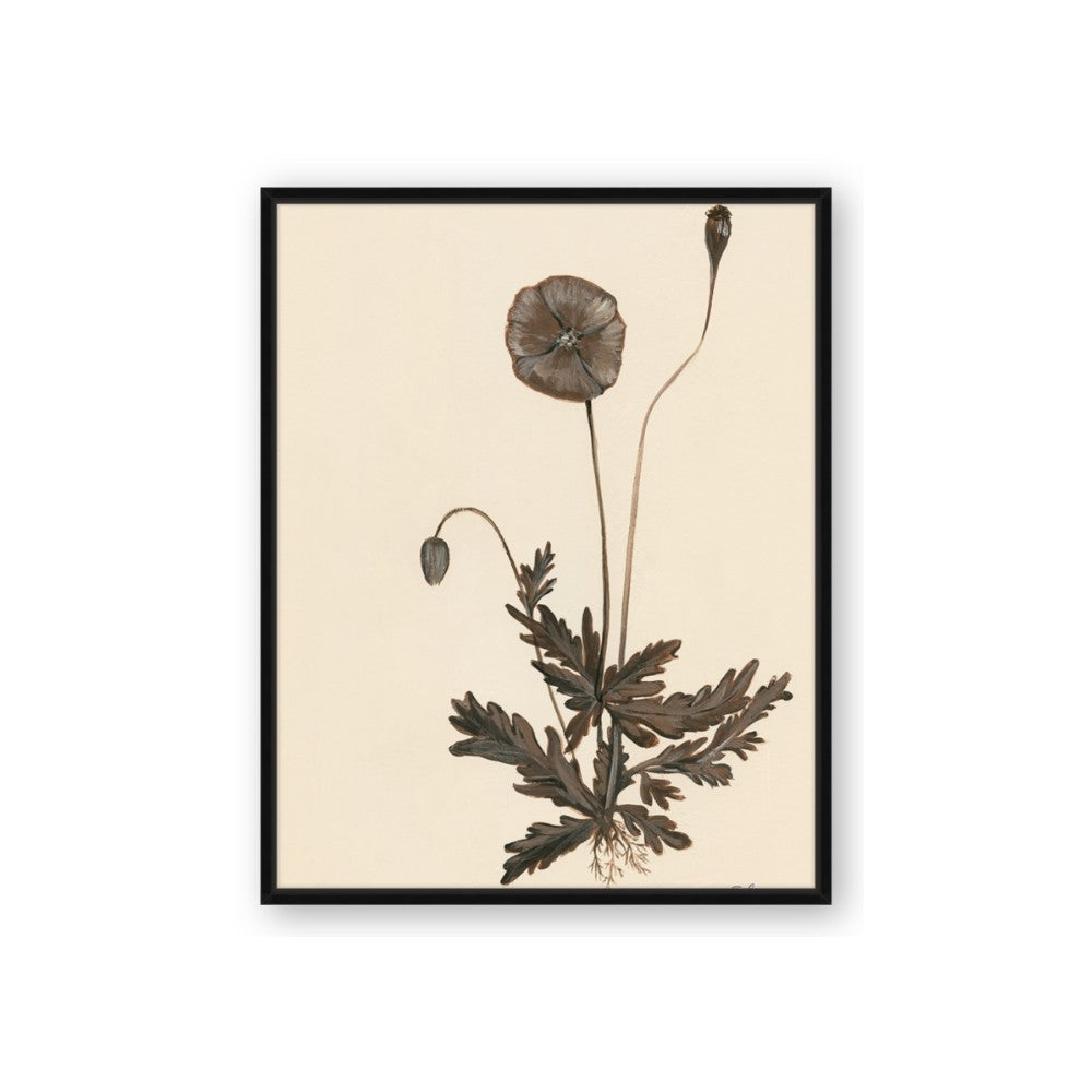 Vintage Botanical II