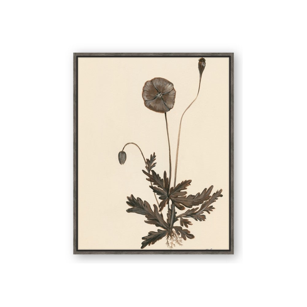 Vintage Botanical II